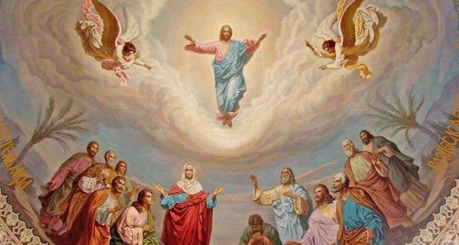 Homilía Ascensión del Señor a los cielos (24 de mayo de 2020)