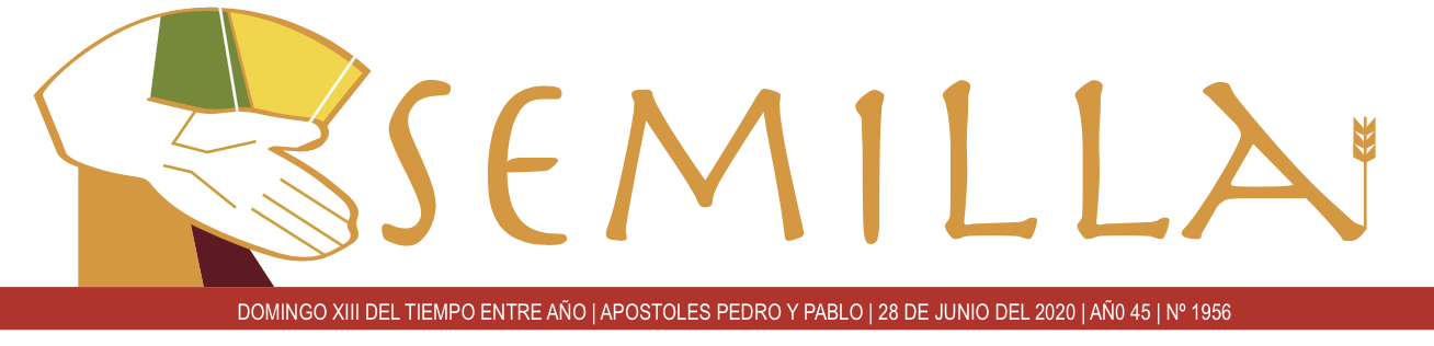 Semilla - 28 de junio de 2020