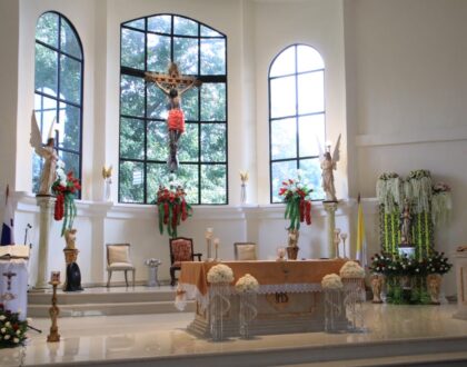 Homilía Fiesta el Señor de los Milagros de Buga- Villa Lucre