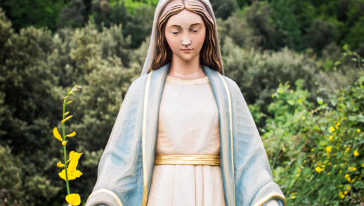 Homilía - Natividad de María 2020 