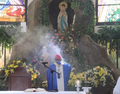 Arzobispo: “Virgen de Lourdes nos acompaña en los dolores pequeños o grandes de la vida”