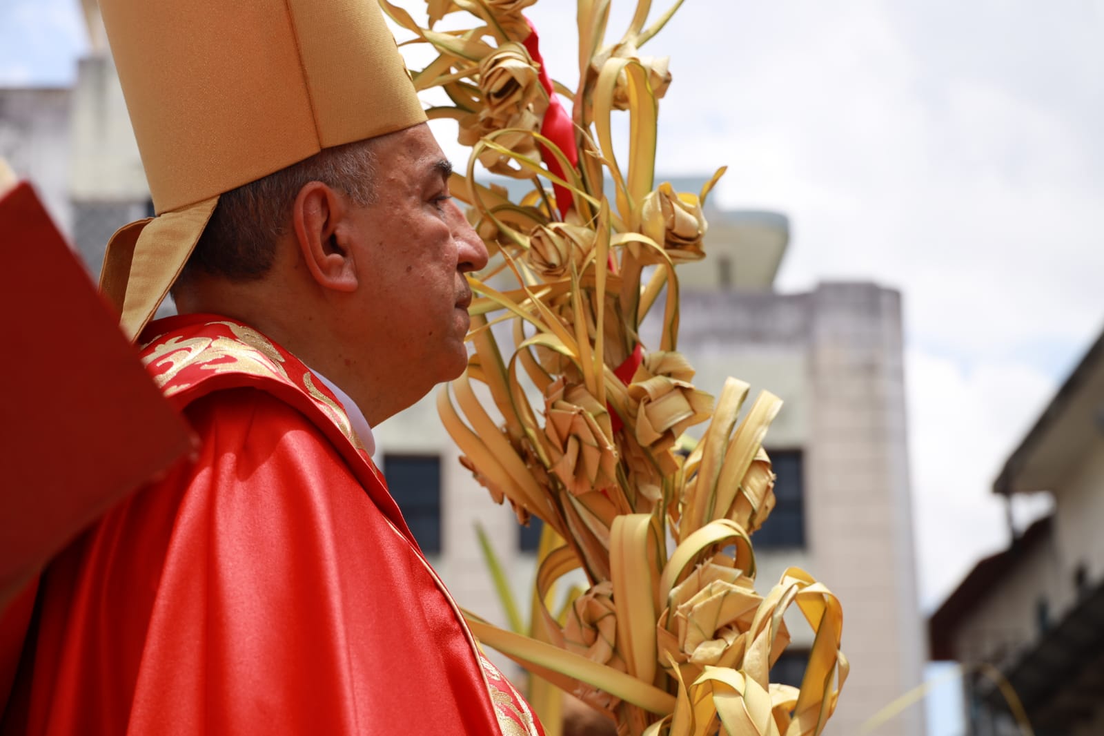 Con gozo los panameños y extranjeros   participan de la celebración del Domingo de Ramos