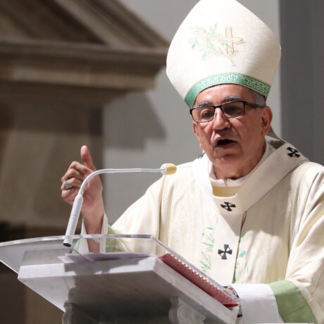 Homilía Domingo “El Buen Pastor da la vida por sus ovejas” (Jn 10,11)
