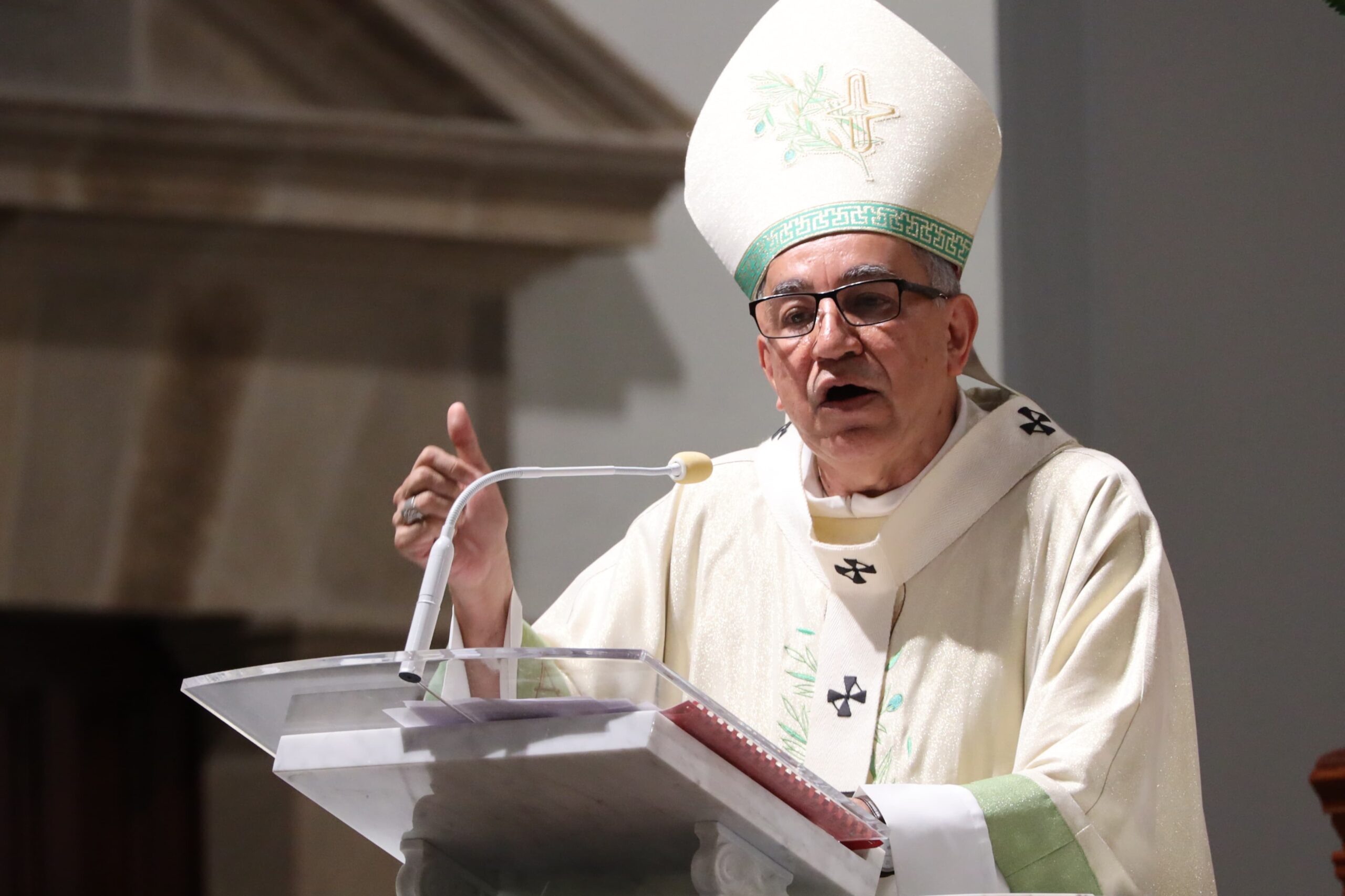 Homilía Domingo “El Buen Pastor da la vida por sus ovejas” (Jn 10,11)