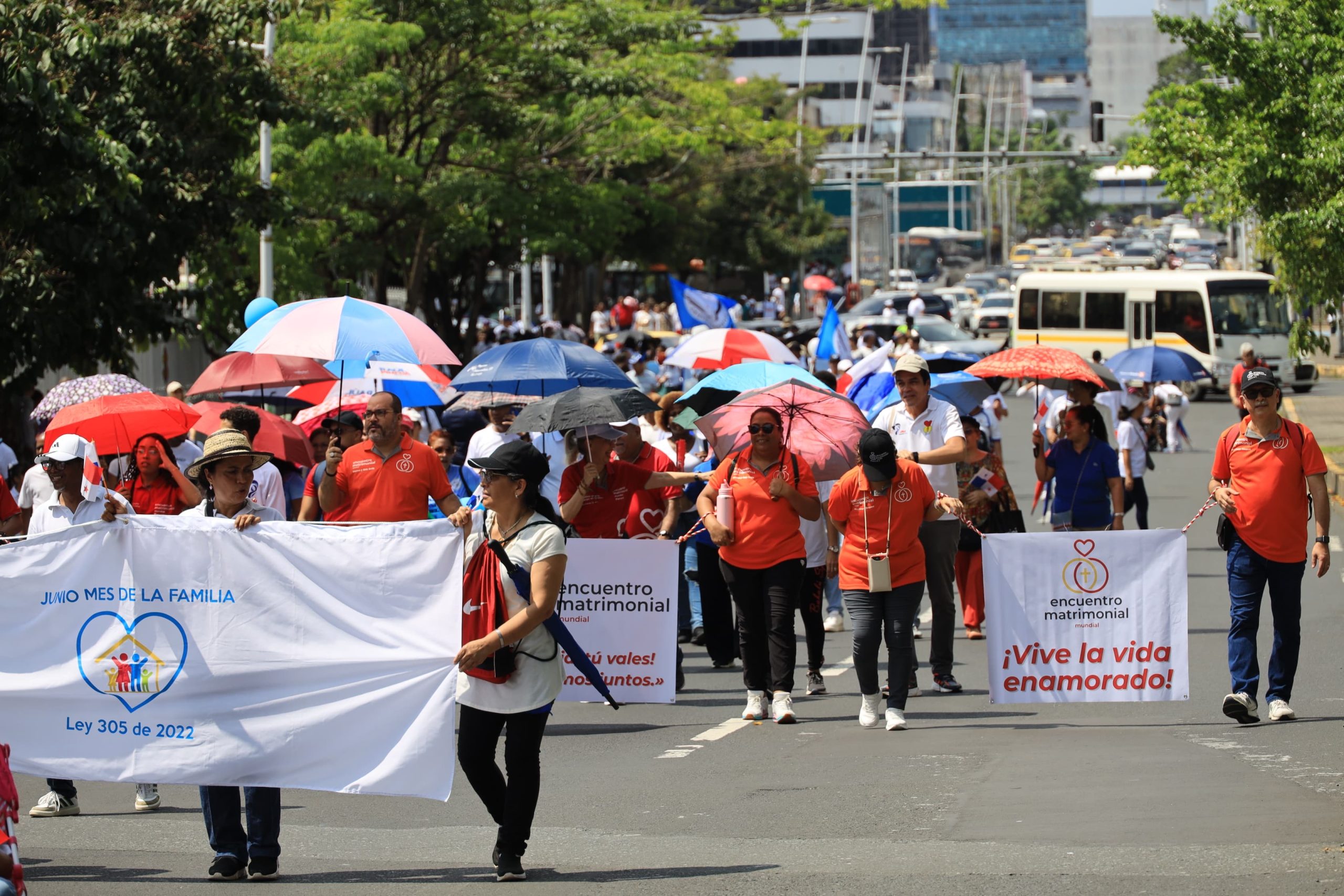 Iglesia Arquidiocesana invita a caminar por la paz, la familia, la vida y la esperanza